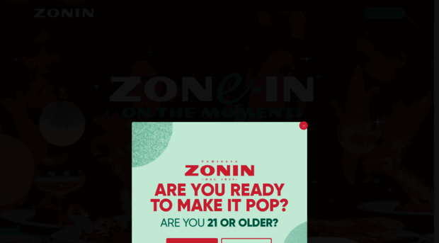 zoninusa.com