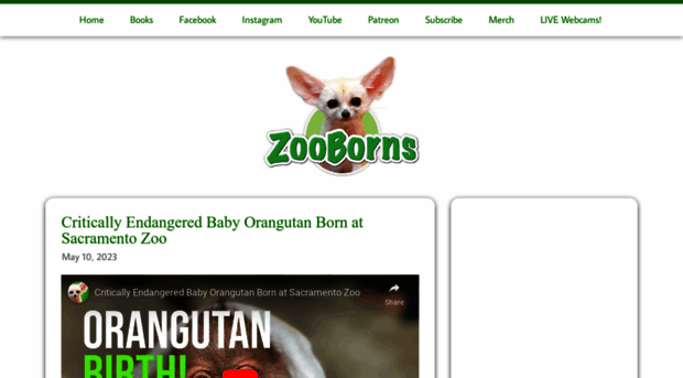 zooborns.typepad.com