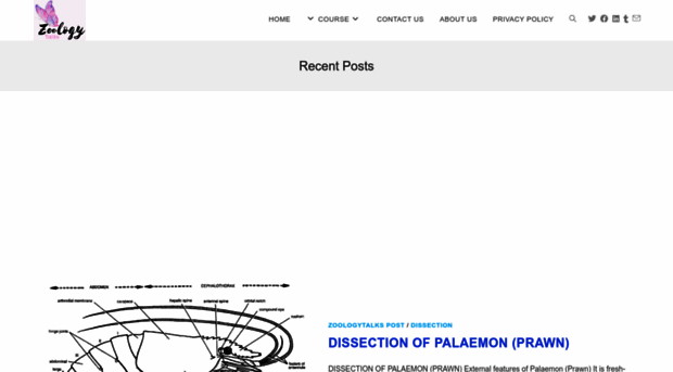 zoologytalks.com