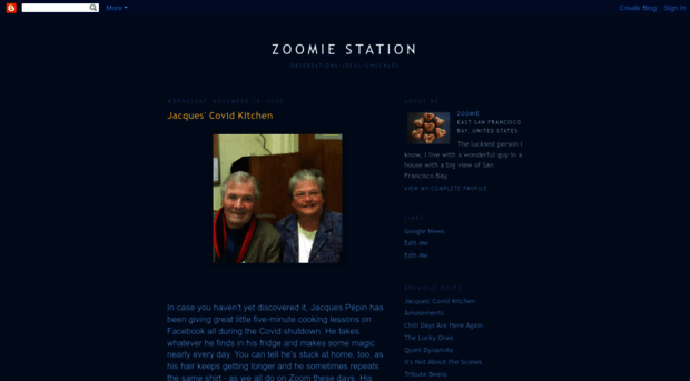 zoomiestation.blogspot.com