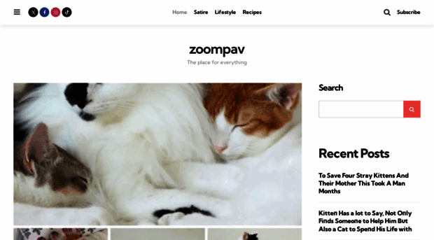 zoompav.com