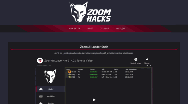 zoomui.com