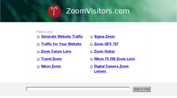 zoomvisitors.com