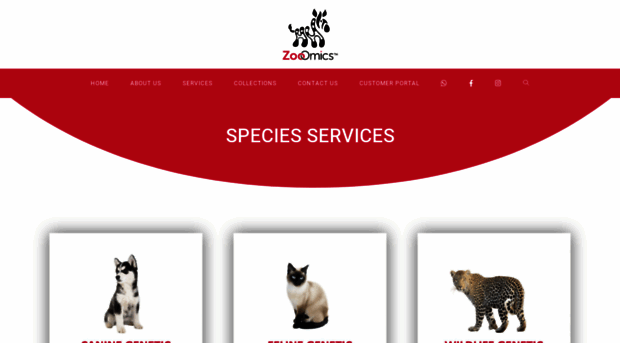 zooomics.co.za