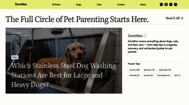 zoorithm.com