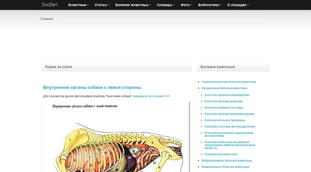 zoovet.info