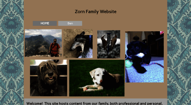 zorn.com