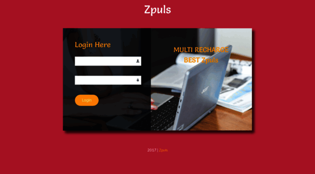 zpuls.com
