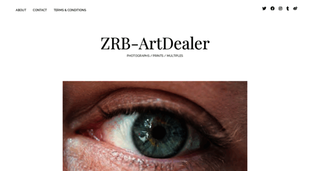 zrb-artdealer.com