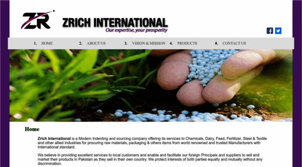 zrichinternational.com