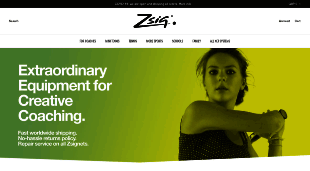 zsig.com