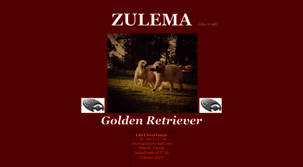 zulemagoldenretriever.com