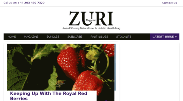 zurimagazine.com