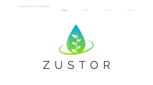 zustor.com