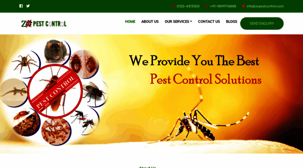 zxpestcontrol.com