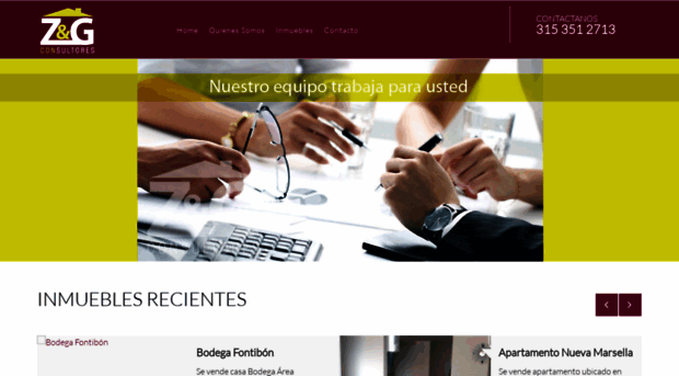 zygconsultores.com