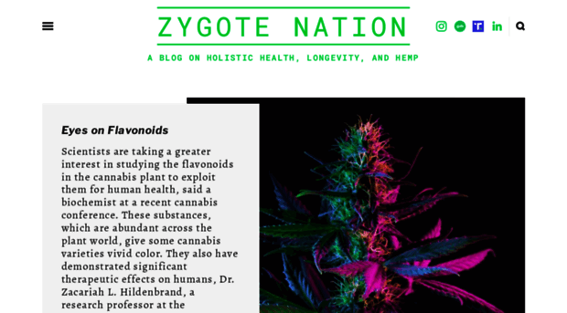 zynation.net