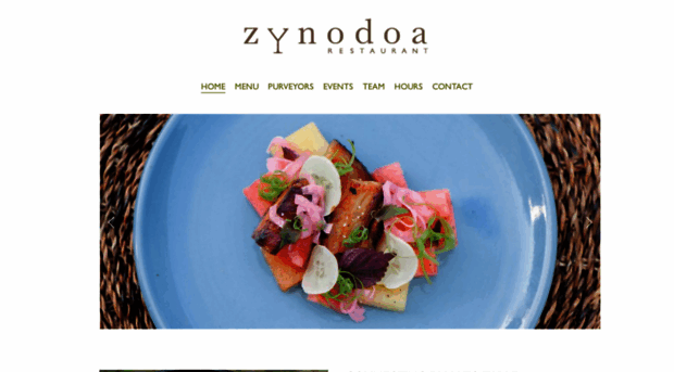 zynodoa.com