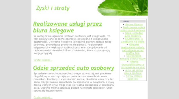 zyskistraty.pl