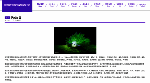 zzw1994.com